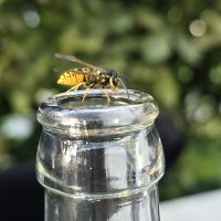 ORIGINAL Flaschendings (Getränkeverschluss für Flaschen)